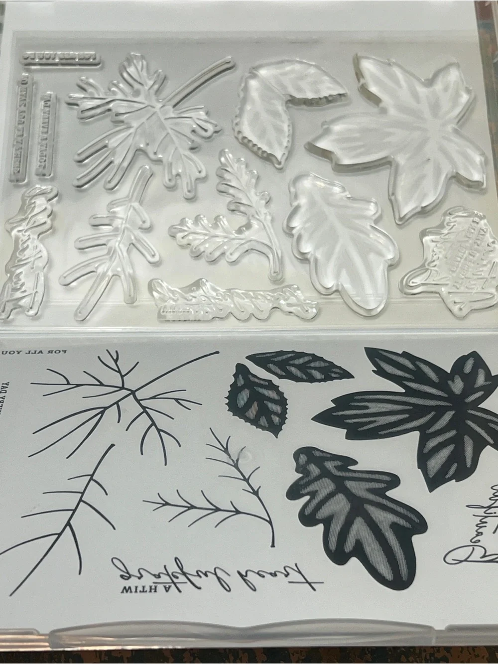 Stampin’ Up! Complete All About Autumn Suite + Bonus DSP – Retired